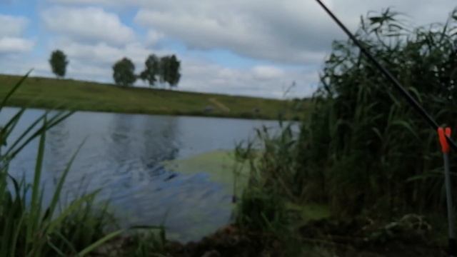 Рыбалка На Фидер. Деревенский Пруд В Деревне Яглово 2019. смотреть онлайн