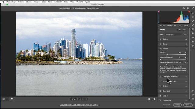 Photoshop. Camera Raw Versión 13.0. Interfaz, Ventanas, Herramientas y Aplicaciones. liclonny смотреть онлайн