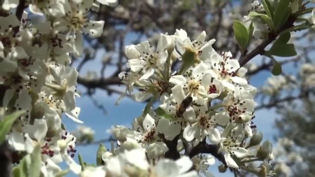 ? ВОЛШЕБНАЯ ЮЛА ПЕРЕХОДА. Медитация. смотреть онлайн