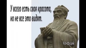 Мудрые высказывания великих людей!