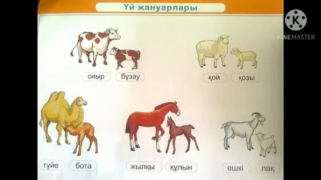 Жаратылыстану  Сейполлова А С