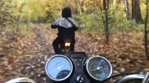 ПОКАТУШКИ НА АЛЬФЕ С ДРУГОМ ПО ЛЕСУ! НАШЛИ ОСОБНЯК! от первого лица покатушки