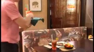 Передача "Что Новенького". Гриль-ресторан El Torro