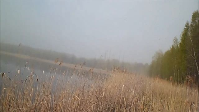 Рыбалка на карася.Наконец-то распечатали красивое озеро.Опыт и мудрость победили.Трофейный карась.