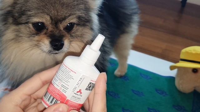 Лакомства для собак - жевательные палочки, сушености, масло лосося смотреть онлайн