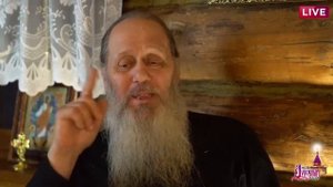 Какие книги о. Владимир советует читать детям?