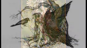Fairies ~ Celtic Women
