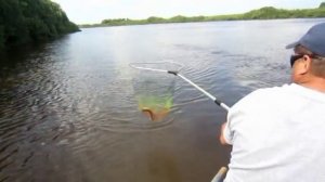 Рыбалка на Сухоне !!!