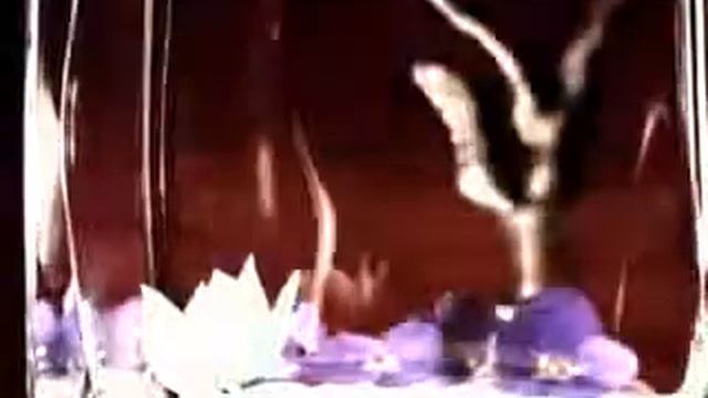 Парфюмированная вода Armand Basi In Red смотреть онлайн