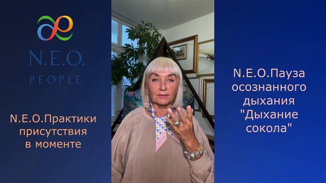 N.E.O. Практики осознанного присутствия в моменте. Н.Э.О.Пауза "Дыхание сокола"