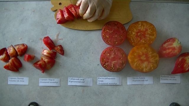 Дегустация № 19. Коллекционные томаты с антоцианом