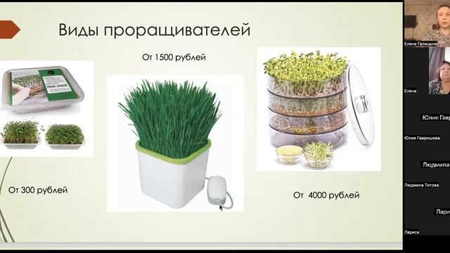 Микрозелень.