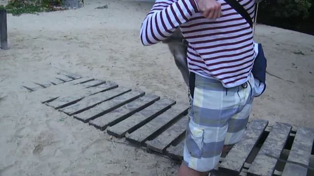 Affenangriff/нападение обезьян смотреть онлайн