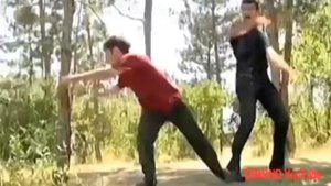 Удар Лотоса