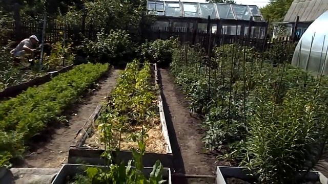 ПУТЬ ОТ ЗАБОРА -ДО ЗАБОРА ЗА ПЯТЬ МИНУТ смотреть онлайн