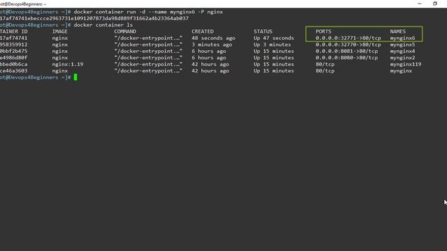 8 Docker Basic Container Commands Part 4 смотреть онлайн