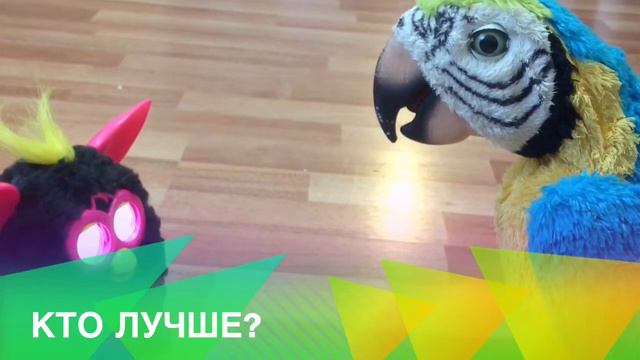 Фёрби или попугай смотреть онлайн