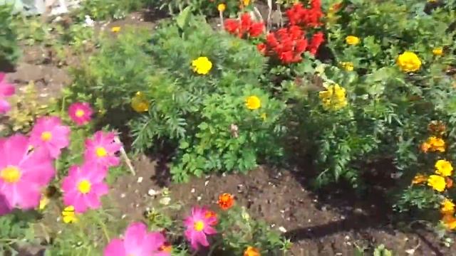 Идем в пятерочку. смотреть онлайн