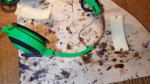 ✅"BOMJ" НАУШНИКИ RAZER KRAKEN за $8 // РЕМОНТ RAZER KRAKEN