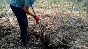 Копаем чермет Анна Юрьевна в ударе! Minelab GO-Find 11