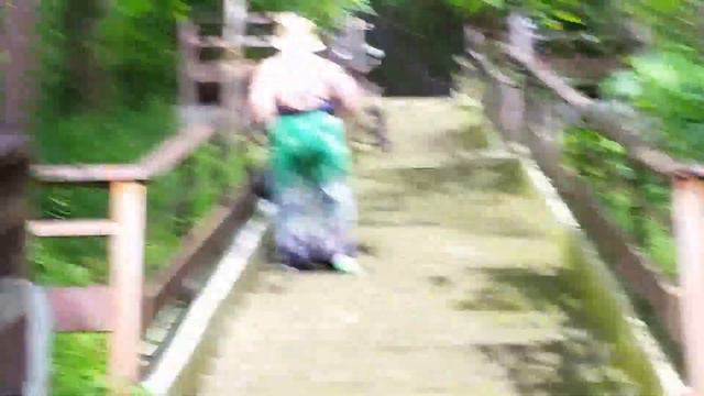 Драки собак смотреть онлайн