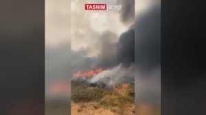 220 пожаров за сутки в Израиле