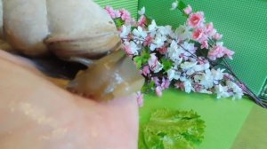 #МЕГАЛОБУЛИМУСОБЛОНГУС#УЛИТКАМОНСТРМЕГАС#МЕГАСУЛИТКА ЗАГАДКА #КУПЛЮАХАТИНПРОДАЮ#МАРИМИСТИКПИТОМНИК