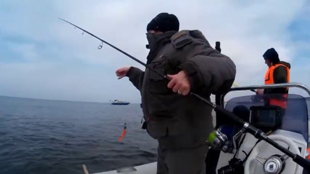 Рыбалка в Балтийском море с гидом. г. Балтийск. Ловим салаку. смотреть онлайн