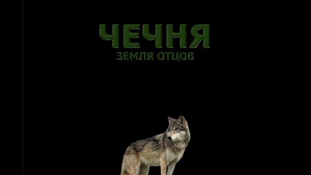 Вахид Аюбов Разбиваясь смотреть онлайн