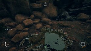Ancestors: The Humankind Odyssey Как перемотать время в игре. ГАЙД