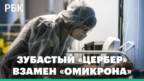 «Зубастый» штамм коронавируса уже в России. На смену «омикрону» пришел «цербер»