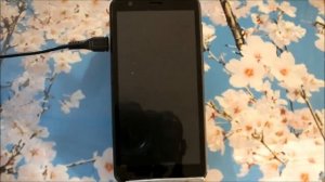 ZTE Blade L8 - прошивка телефона через Настройки и через Рекавери