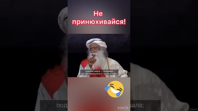 Не принюхивайся! ? смотреть онлайн