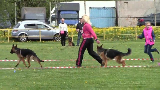 ПК-Северо-Западного региона 27мая 2017г. Санкт-Петербург,под судейством FRANCESCO CAPELLI ( ИТАЛИЯ) смотреть онлайн