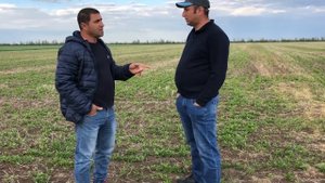 Первые шаги в No-Till Наримана Яриева (выращивание кориандра)