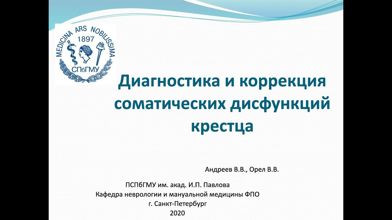 Андреев В.В., Орел В.В. Диагностика и коррекция соматических дисфункций крестца ( мастер-класс). смотреть онлайн