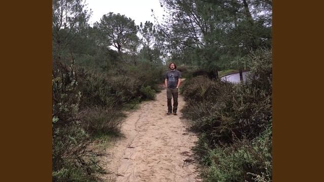 Может ли страус назвать себя «птицей»? Алексей Шадрин смотреть онлайн