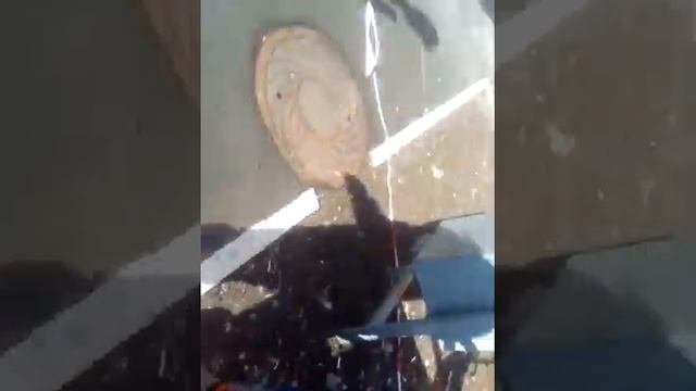 Новый скут смотреть онлайн