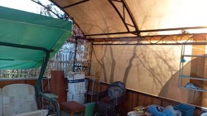 Как выбрать место для посадки голубики, итоги перезимовки ,обзор цветочных культур.