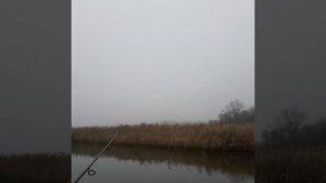 Щуколов
