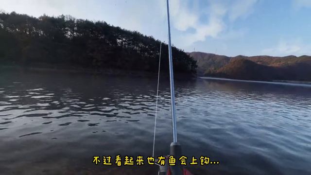 PINK丹|PICO4游戏实况|实况钓鱼03|今天钓到了大鲫鱼 смотреть онлайн