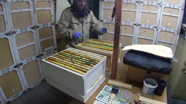 Двух маточная зимовка матки из разных отводков. смотреть онлайн