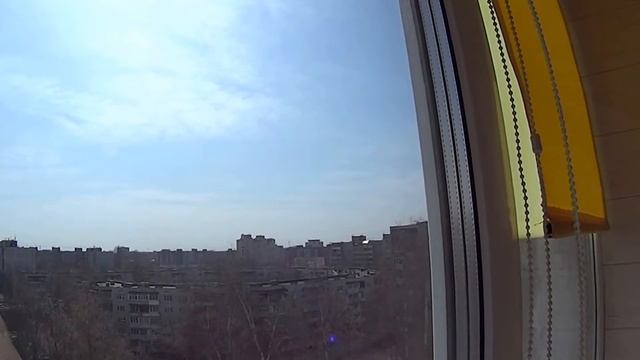 Непрошеный гость... или шмель по имени Шмеля смотреть онлайн