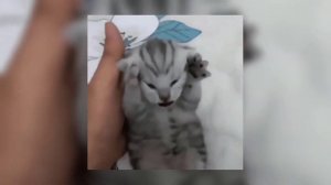 Винтик (бульдозер был что надо но вдруг в нём что-то хрясь) — nightcore/speed up