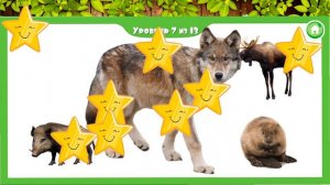 Животные леса🐰🐻🦌🦊🐺🦝🐗🐍. Малыш учит. Играем вместе. Игрушки и игры с детьми.