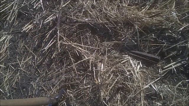 ПОИСК У СТАРОЙ ДЕРЕВНИ Часть 2 смотреть онлайн