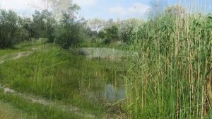 Днепряны.Херсонская область.