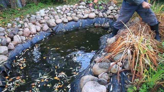 Эффективная мышеловка.