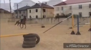 Конный спорт