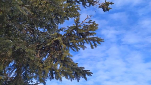 ПОВОРОТ К ВЕСНЕ. ГРИГОРЬЕВ ДЕНЬ 7 февраля.Не говорите НИКОМУ о ДЕТЯХ.ПРИМЕТЫ смотреть онлайн